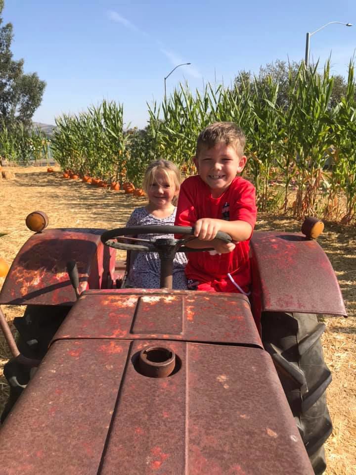 Picking Pumpkins 2019